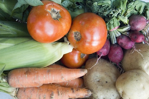 csa share_blog2