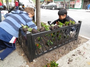 Tree Pit Planting - Greene Hill Students - 2013-05-06 (13)