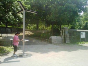 IMG00611-20130624-1451