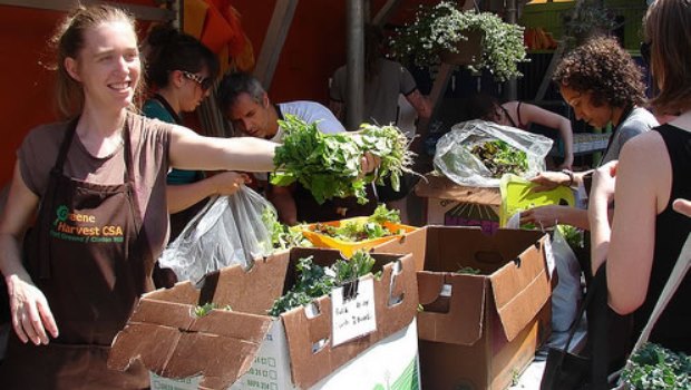Photo Credit: Habana Outpost Fort Greene, Brooklyn