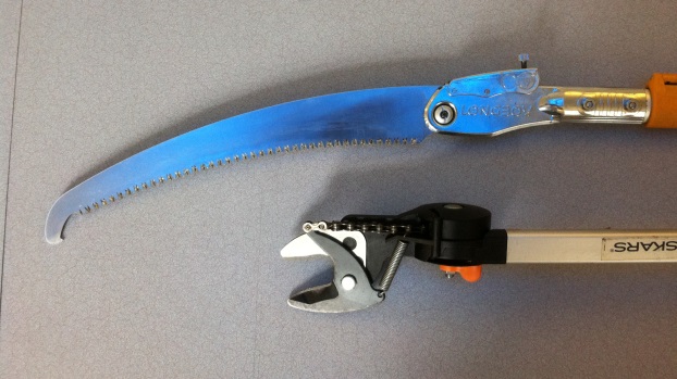 Image Credit: Myrtle Avenue Brooklyn Partnership