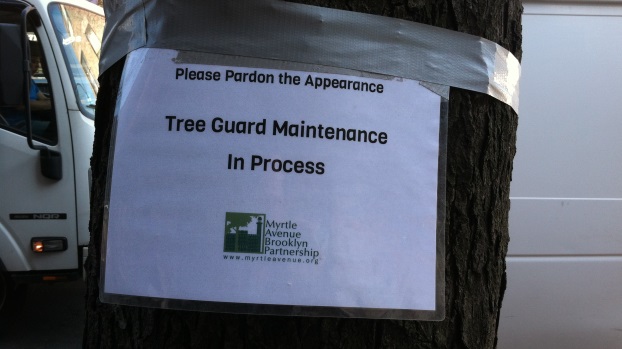 Tree Guard Maintenance