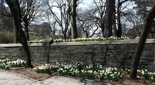 Fort Greene Park Flowers