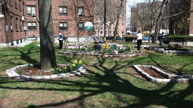 Whitman Garden in Spring