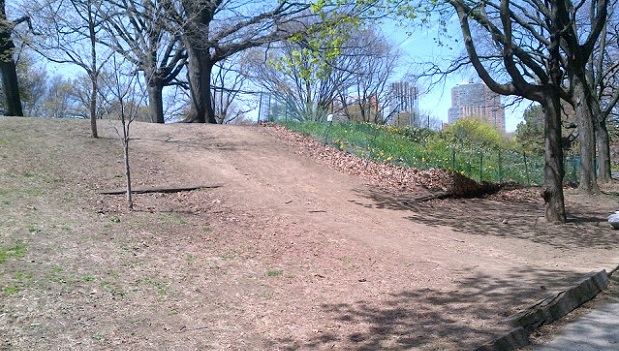 Image Credit: NYC Parks Department