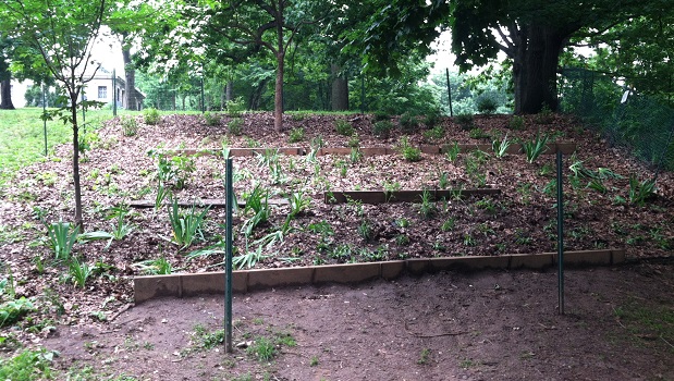 FGP after erosion control