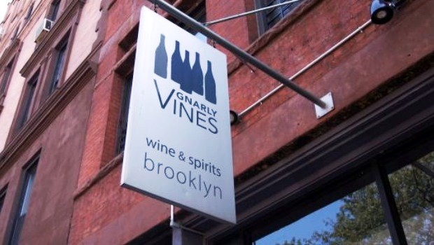 Gnarly Vines- shingle- blog ready