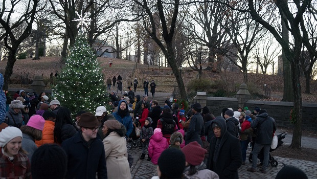 Holiday Tree
