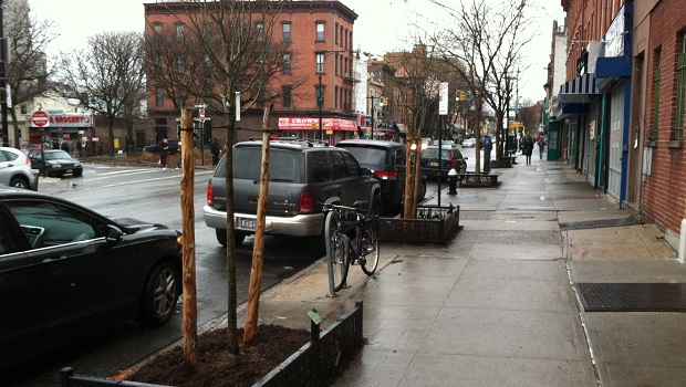 New trees