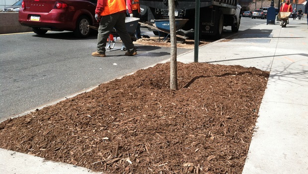 Aeration and Mulch
